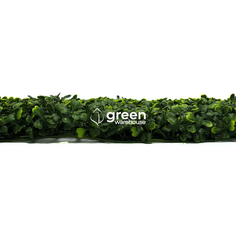 Boxwoood - Artificial Hedge Panel for Green Walls - 40"x40" (10.76 sqft)