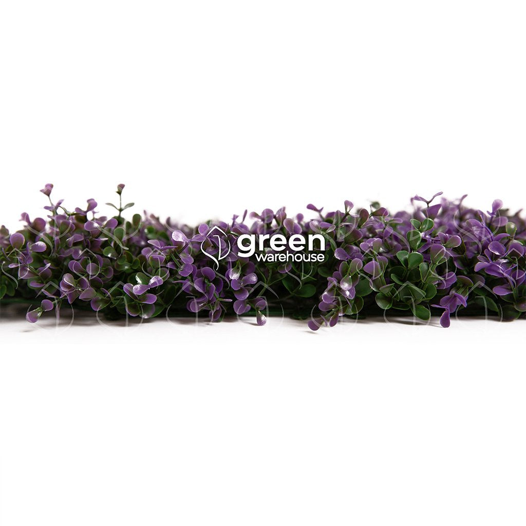 The lavender myrtle foliage for a green wall has small green leaves with purple tips that will brighten up any space.