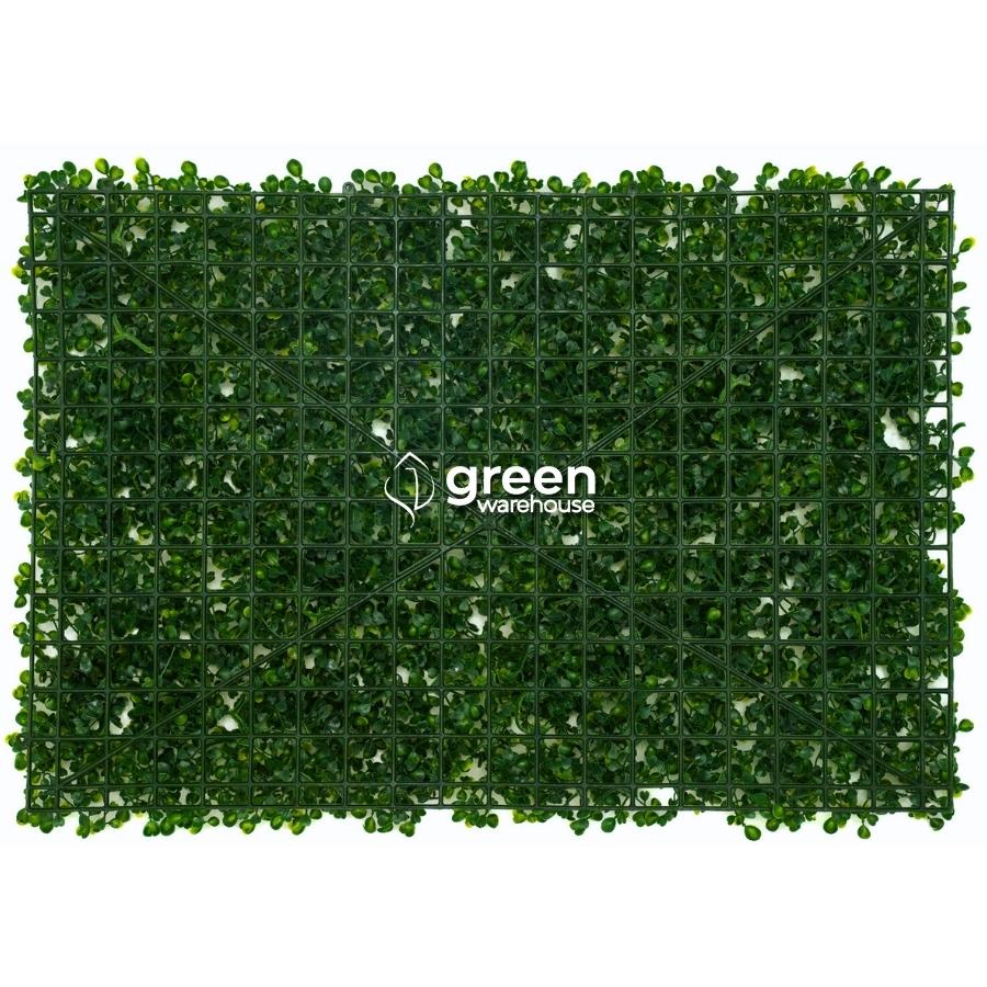 Indoor Boxwood - Artificial Hedge Panel for Green Walls - 24"x16" (10.32 sqft)