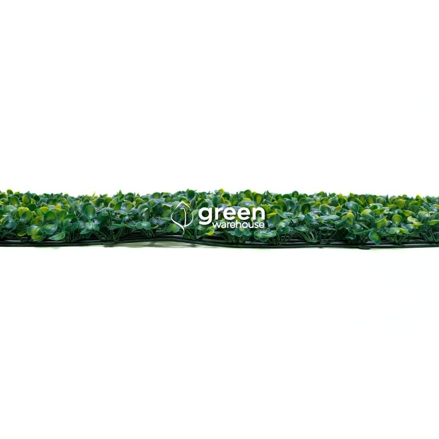 Indoor Boxwood - Artificial Hedge Panel for Green Walls - 24"x16" (10.32 sqft)