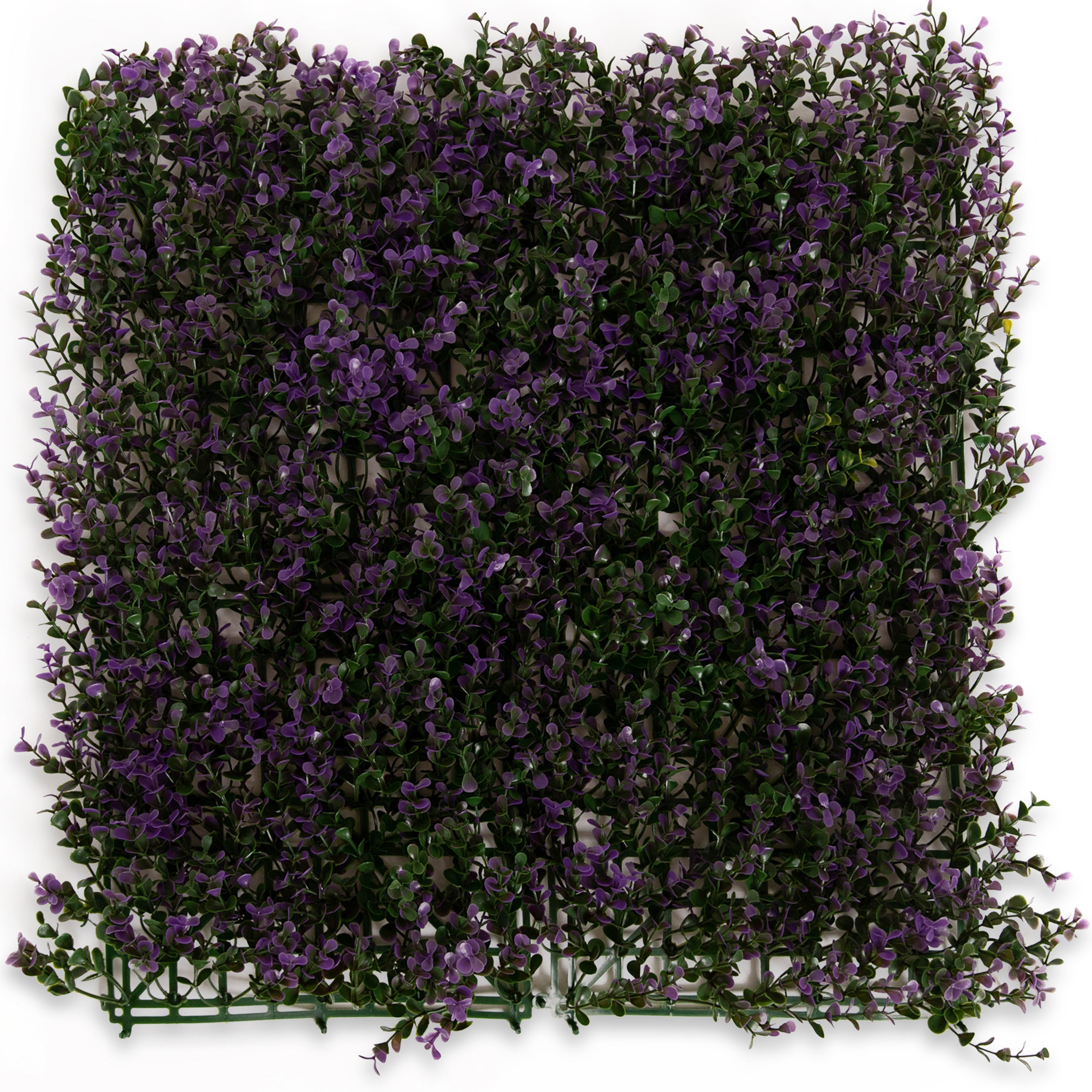 Lavander Myrtle - Artificial Hedge Panel for Green Walls - 40"x40" (10.76 sqft) - Green Warehouse