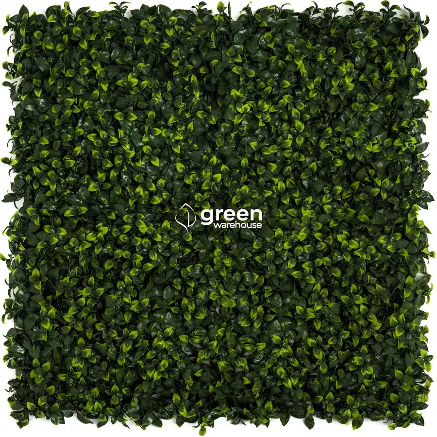Gardenia Leaf - Artificial Hedge Panel for Green Walls - 40"x40" (10.76 sqft)