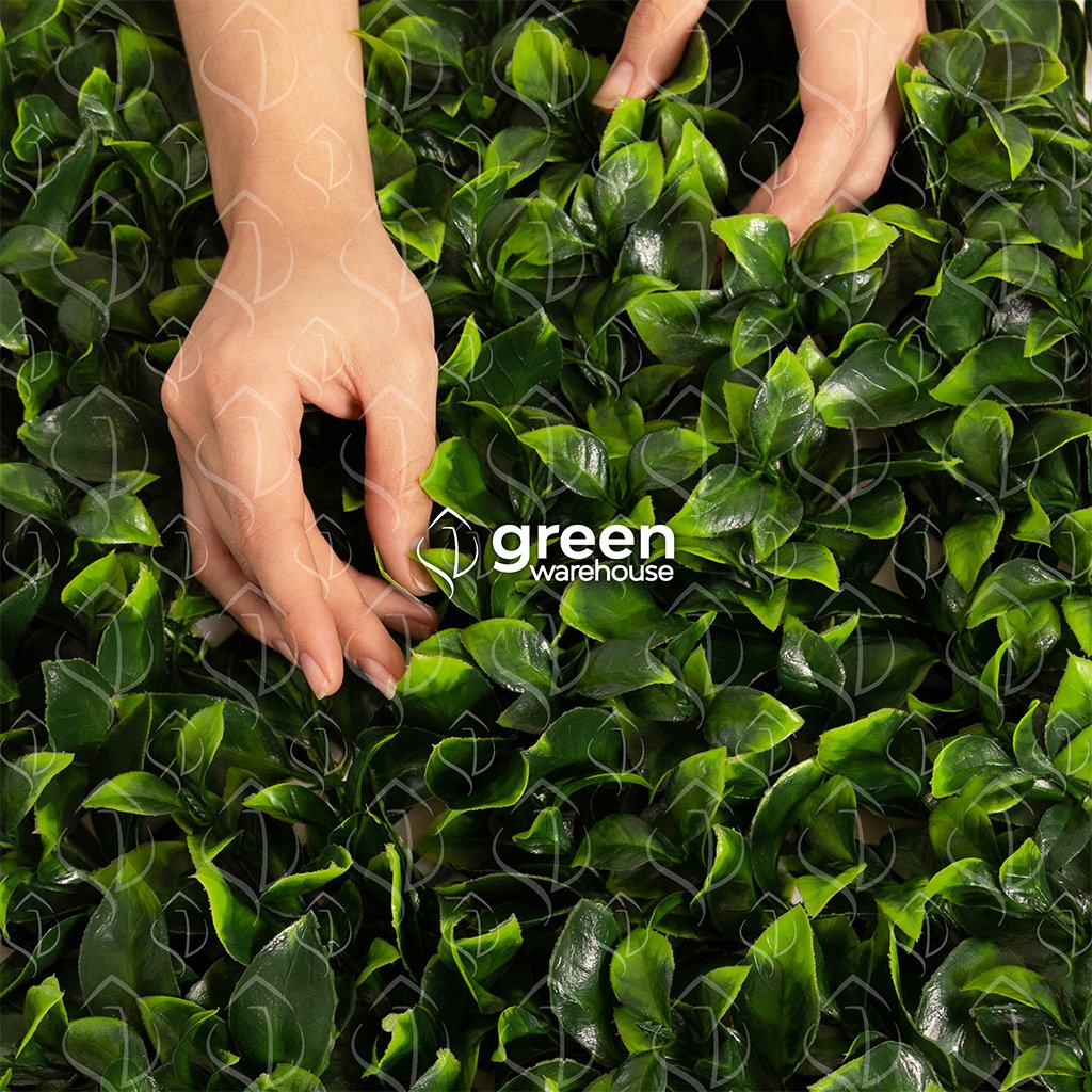 The Gardenia Leaf Artificial Wall Panel is characterized by its medium-sized leaves with an exceptional texture in green tones with brighter tips, making it ideal for contrasting with other models or using uniformly. This model has always been the most popular and preferred option, whether installed alone or combined into a custom Green Wall.