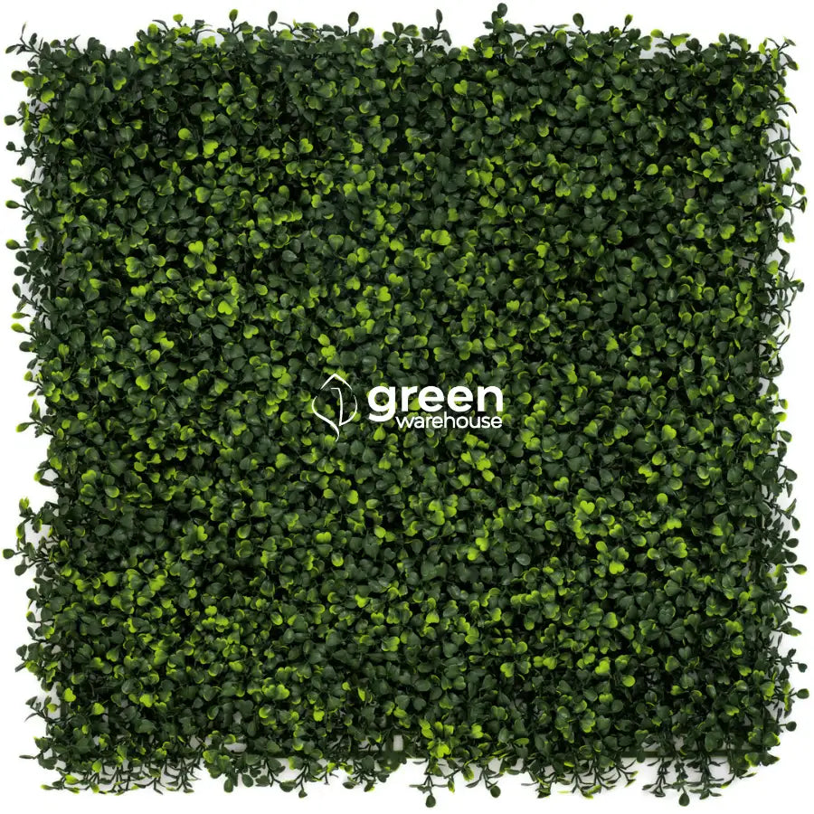 Boxwoood - Artificial Hedge Panel for Green Walls - 40"x40" (10.76 sqft)