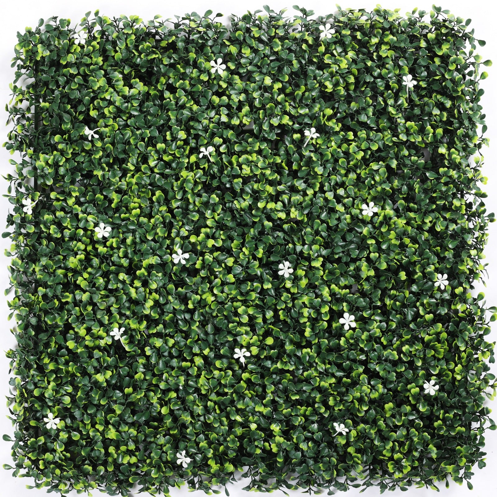 Jasmine - Artificial Hedge Panel for Green Walls - 40"x40" (10.76 sqft) - Green Warehouse