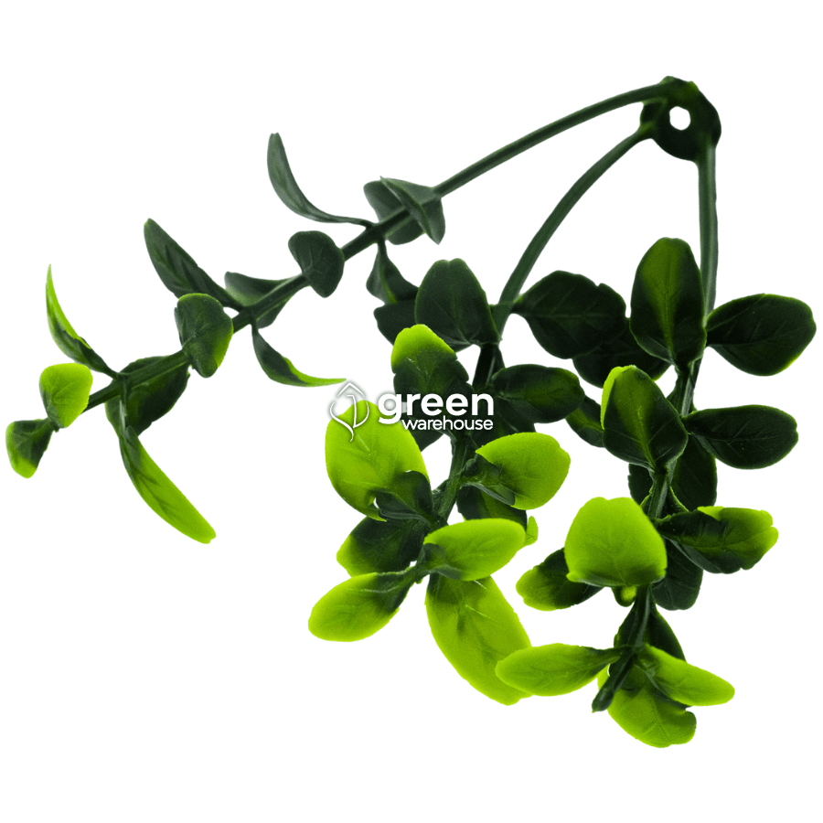 Myrtle Leaf - Artificial Hedge Panel for Green Walls -40"x40" (10.76 sqft)
