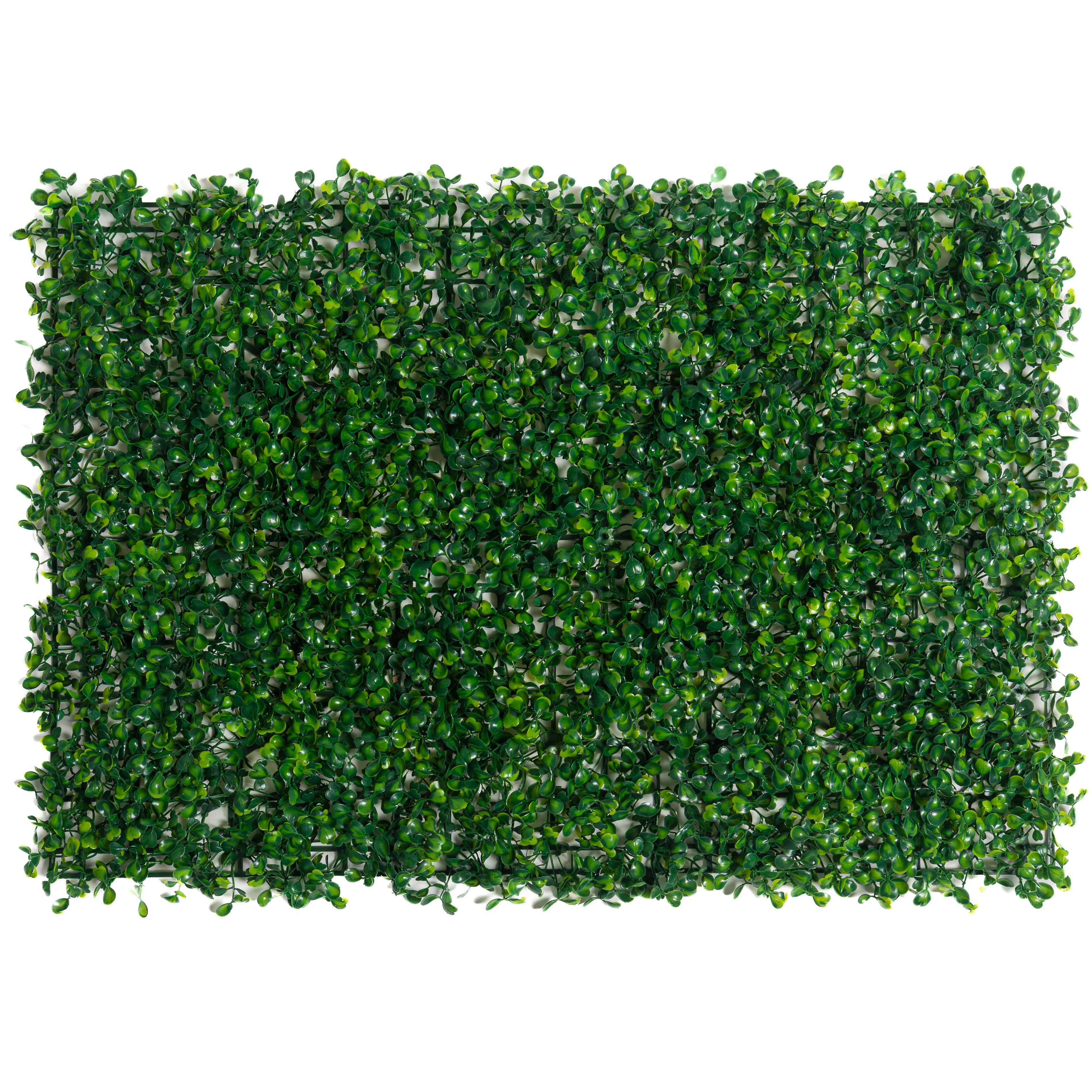 Indoor Boxwood - Artificial Hedge Panel for Green Walls - 24"x16" (10.68 sqft)