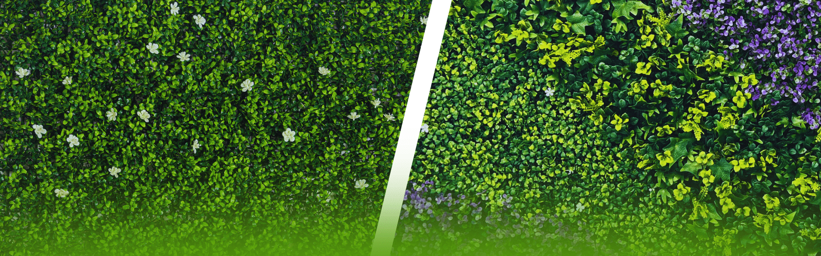 Uniform or mixed? choosing the perfect artificial green wall design