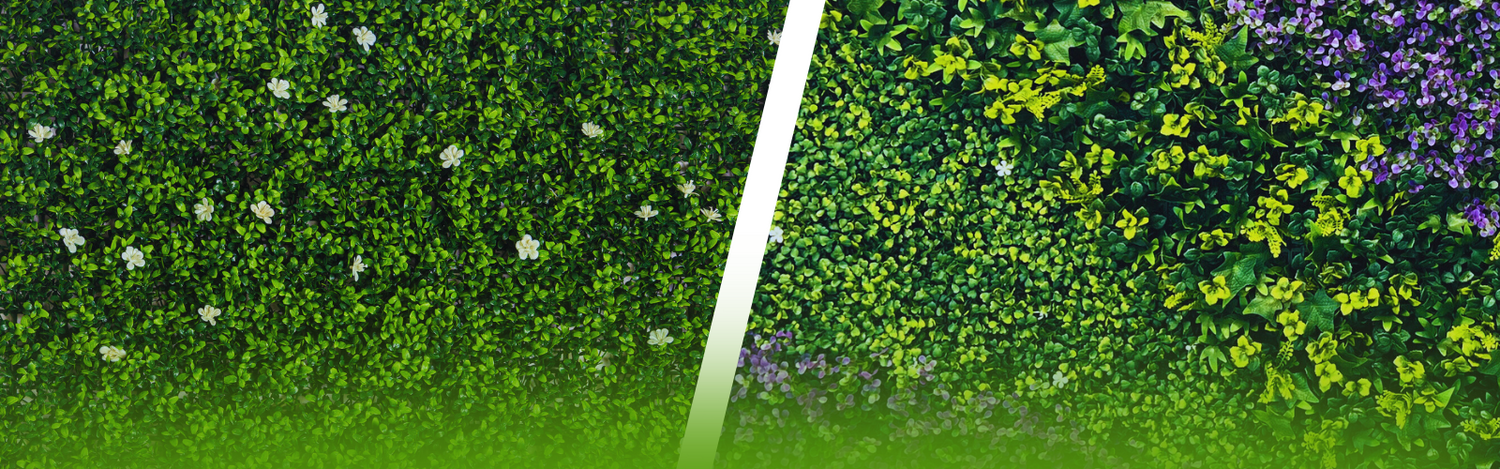 Uniform or mixed? choosing the perfect artificial green wall design