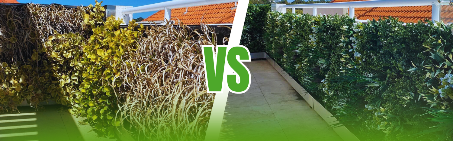 Artificial vs Natural Green Walls: Which one should you choose?