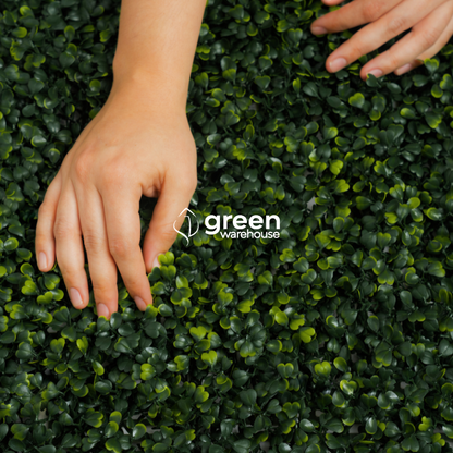 Boxwoood - Artificial Hedge Panel for Green Walls - 40"x40" (10.76 sqft)