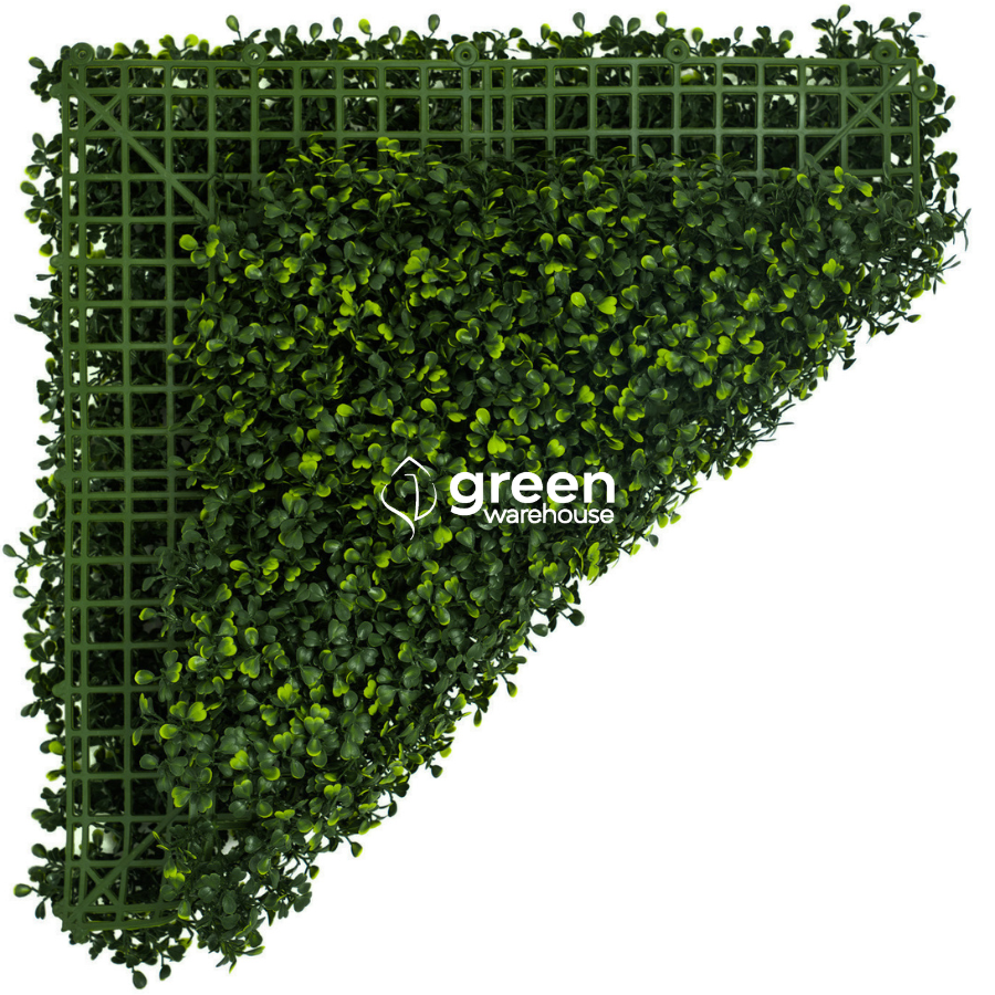 Boxwoood - Artificial Hedge Panel for Green Walls - 40"x40" (10.76 sqft)
