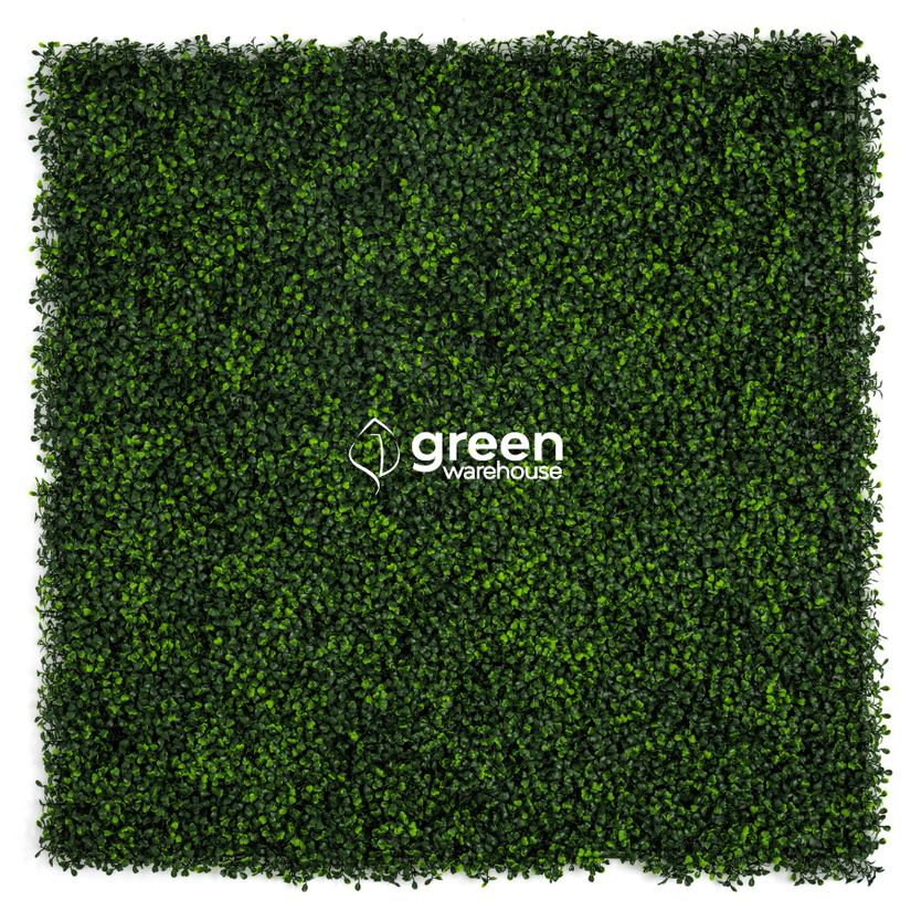 Boxwoood - Artificial Hedge Panel for Green Walls - 40"x40" (10.76 sqft)