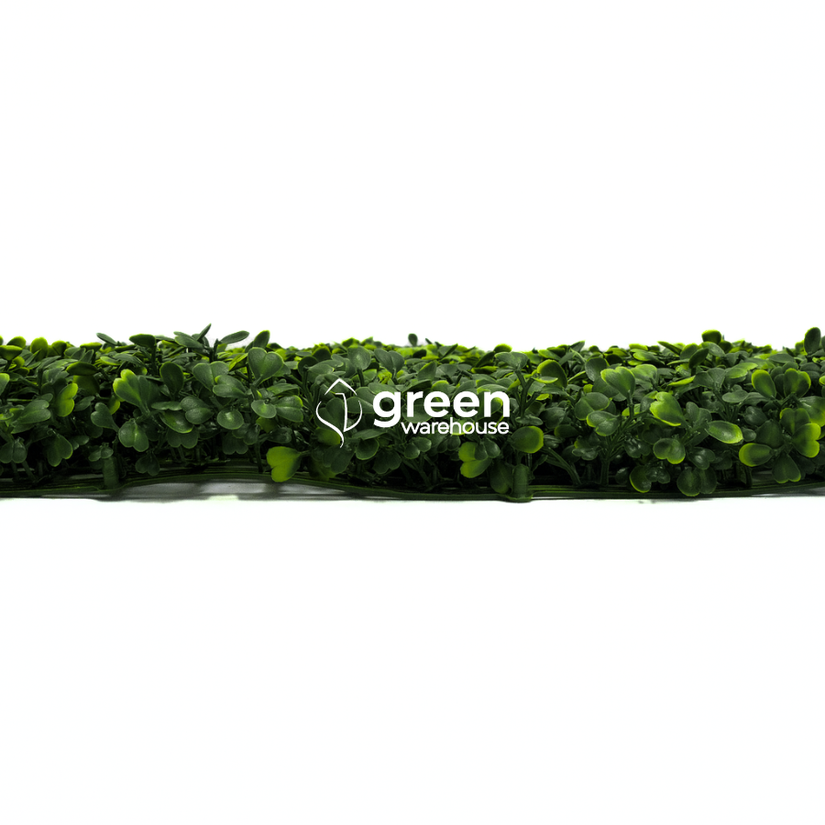 Boxwoood - Artificial Hedge Panel for Green Walls - 40"x40" (10.76 sqft)