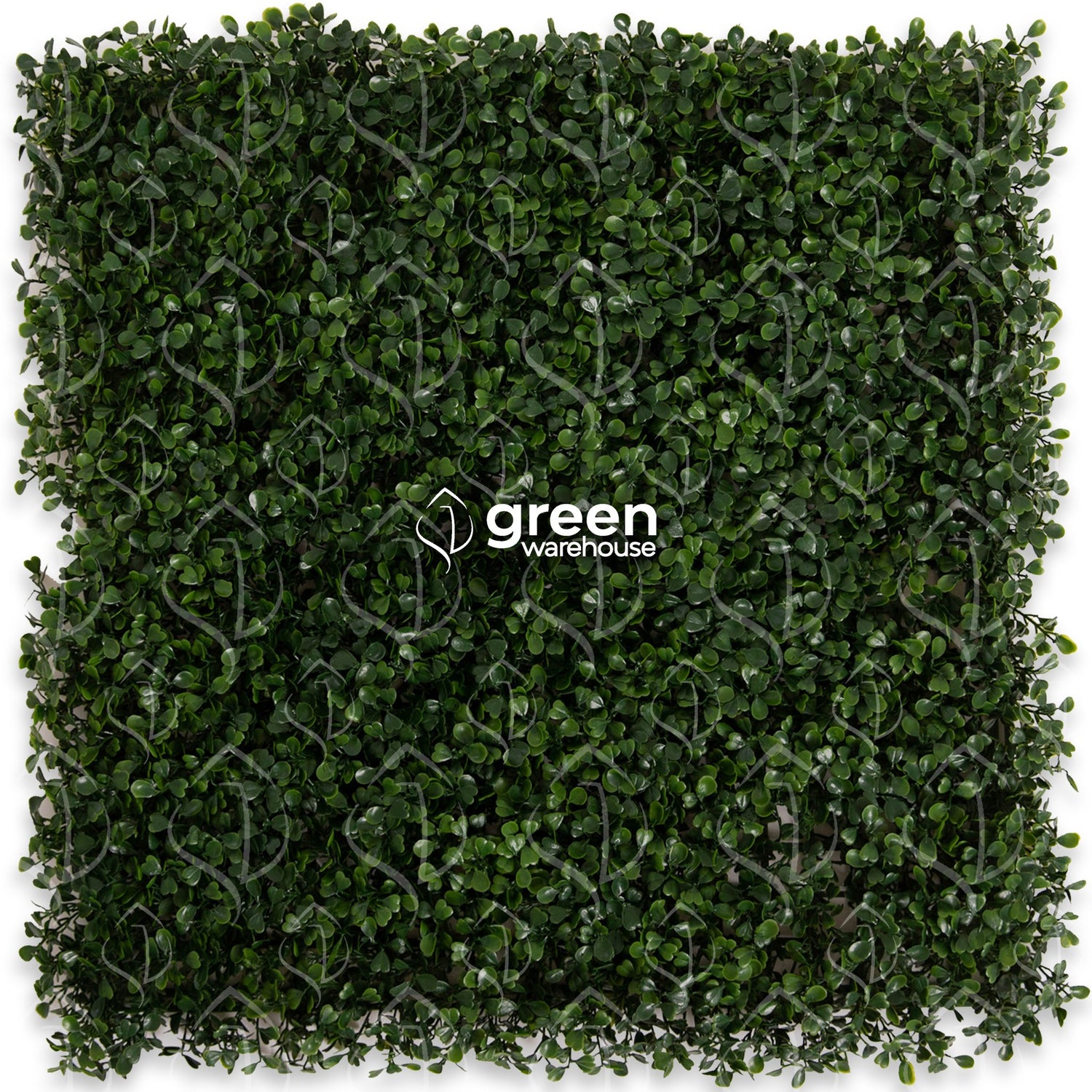 Boxwoood - Artificial Hedge Panel for Green Walls - 40&quot;x40&quot; (10.76 sqft) - Green Warehouse