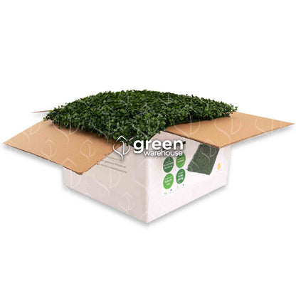 Boxwood Artificial Foliage is the best option to combine with other styles in a custom Green Wall design, as it has a small dark green leaf and a pleasant texture that gives it a uniform and harmonious appearance with other foliage styles. We ship all over Mexico.