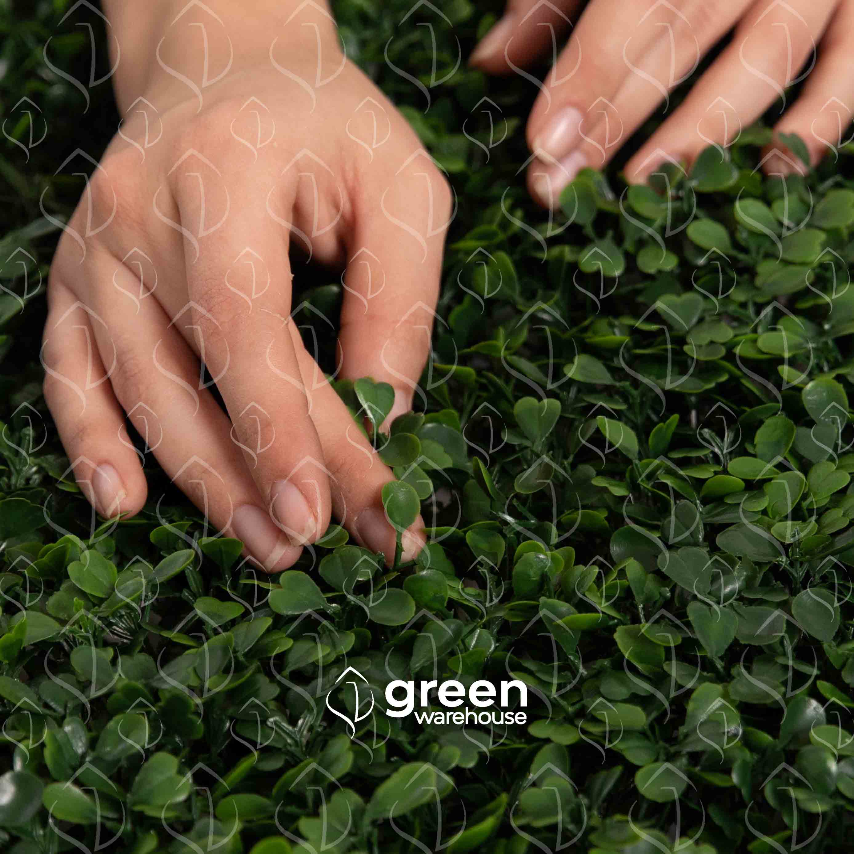 Boxwood Artificial Foliage is the best option to combine with other styles in a custom Green Wall design, as it has a small, dark green leaf and a pleasant texture that gives it a uniform and harmonious appearance with other foliage styles.