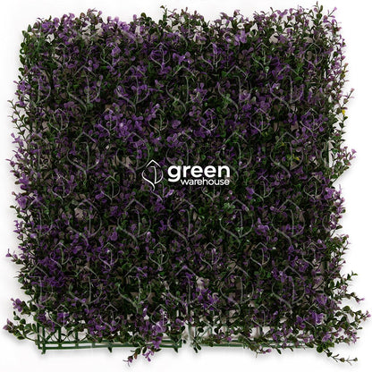 The lavender myrtle foliage for a green wall has small green leaves with purple tips that will brighten up any space.