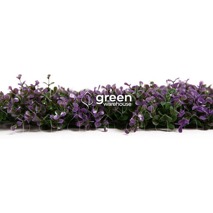 The lavender myrtle foliage for a green wall has small green leaves with purple tips that will brighten up any space.