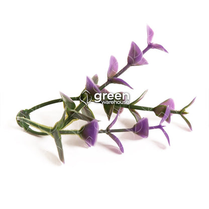 The artificial lavender myrtle foliage for a green wall has small green leaves with purple tips.