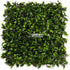 The Gardenia Leaf Artificial Foliage is characterized by its medium-sized leaves with an exceptional texture, in shades of green with brighter tips, making it ideal for contrasting with other models or using it uniformly. This model has always been the most popular and preferred both for installing alone or combining it in a personalized Green Wall.
