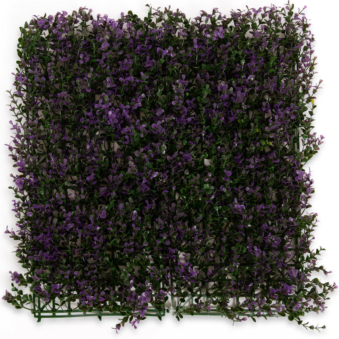 Lavander Myrtle - Artificial Hedge Panel for Green Walls - 40&quot;x40&quot; (10.76 sqft) - Green Warehouse