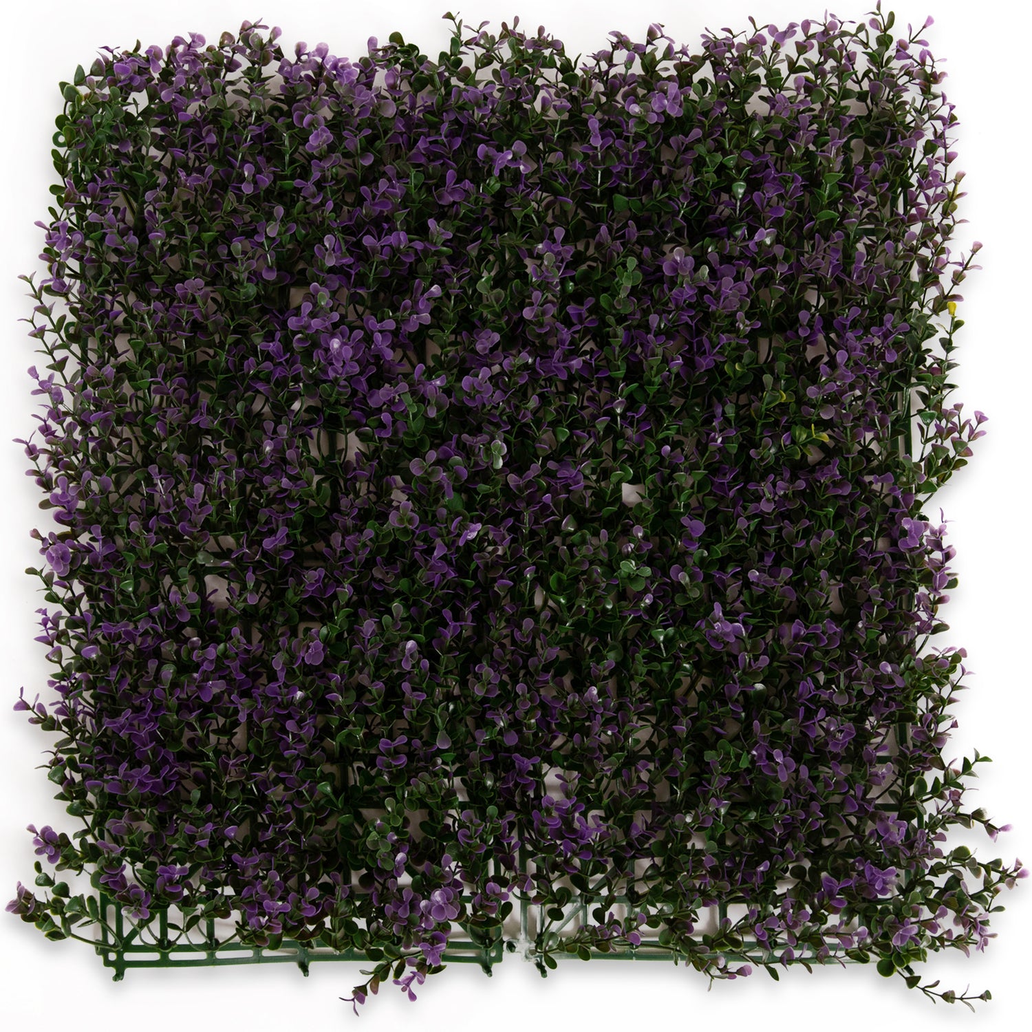 Lavander Myrtle - Artificial Hedge Panel for Green Walls - 40&quot;x40&quot; (10.76 sqft) - Green Warehouse