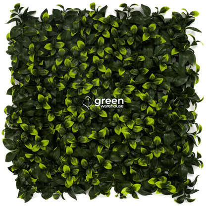 Gardenia Leaf - Artificial Hedge Panel for Green Walls - 40&quot;x40&quot; (10.76 sqft)