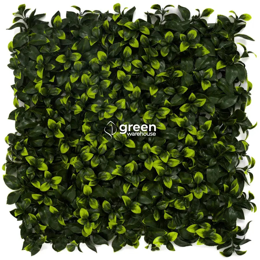 Gardenia Leaf - Artificial Hedge Panel for Green Walls - 40&quot;x40&quot; (10.76 sqft)