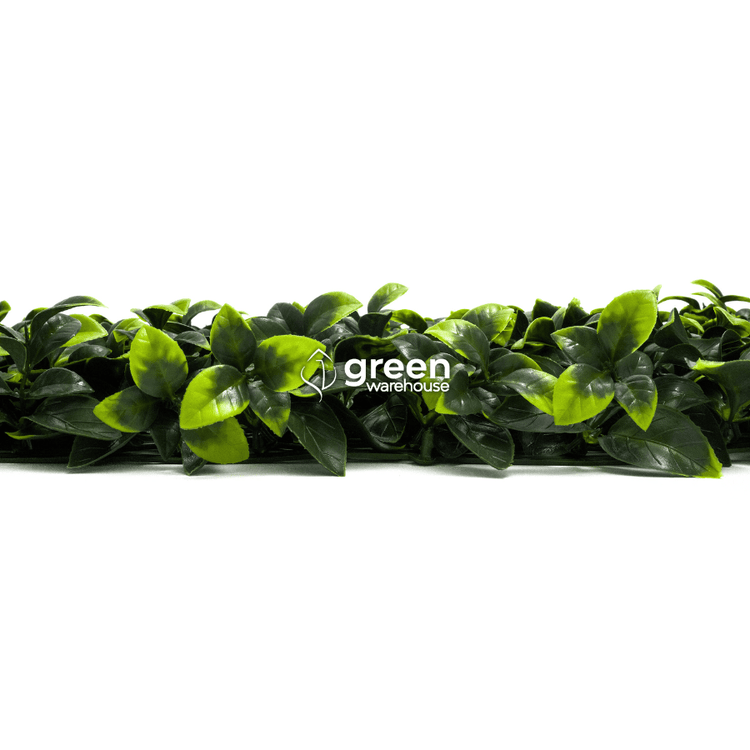 Gardenia Leaf - Artificial Hedge Panel for Green Walls - 40"x40" (10.76 sqft)