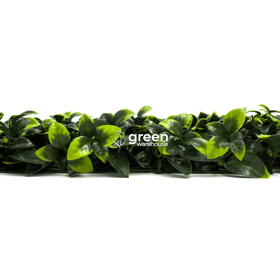 Gardenia Leaf - Artificial Hedge Panel for Green Walls - 40&quot;x40&quot; (10.76 sqft)