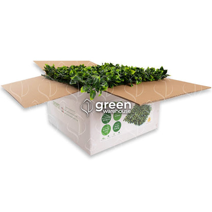 Gardenia Leaf - Artificial Hedge Panel for Green Walls - 40&quot;x40&quot; (10.76 sqft) - Green Warehouse