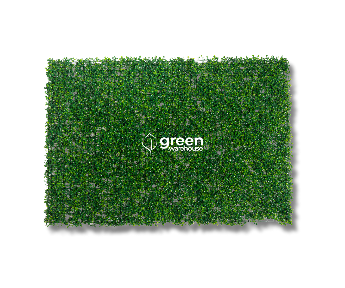 Indoor Boxwood - Artificial Hedge Panel for Green Walls - 24"x16" (10.68 sqft)