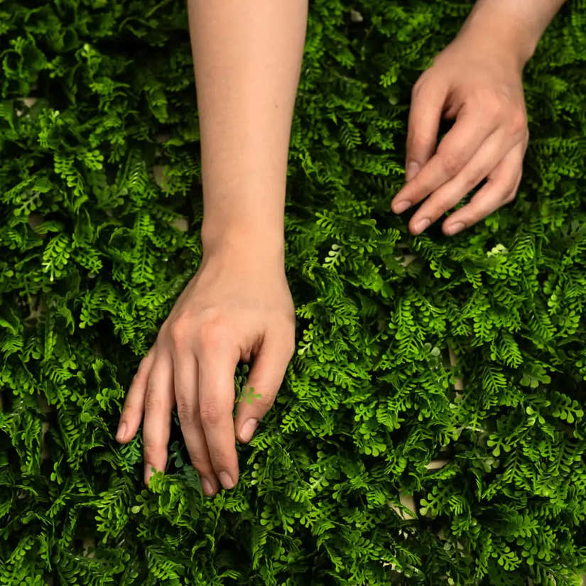 Japanese Fern - Artificial Hedge Panel for Green Walls - 40"x40" (10.76 sqft)