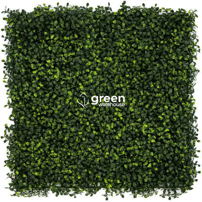 Boxwoood - Artificial Hedge Panel for Green Walls - 40&quot;x40&quot; (10.76 sqft)