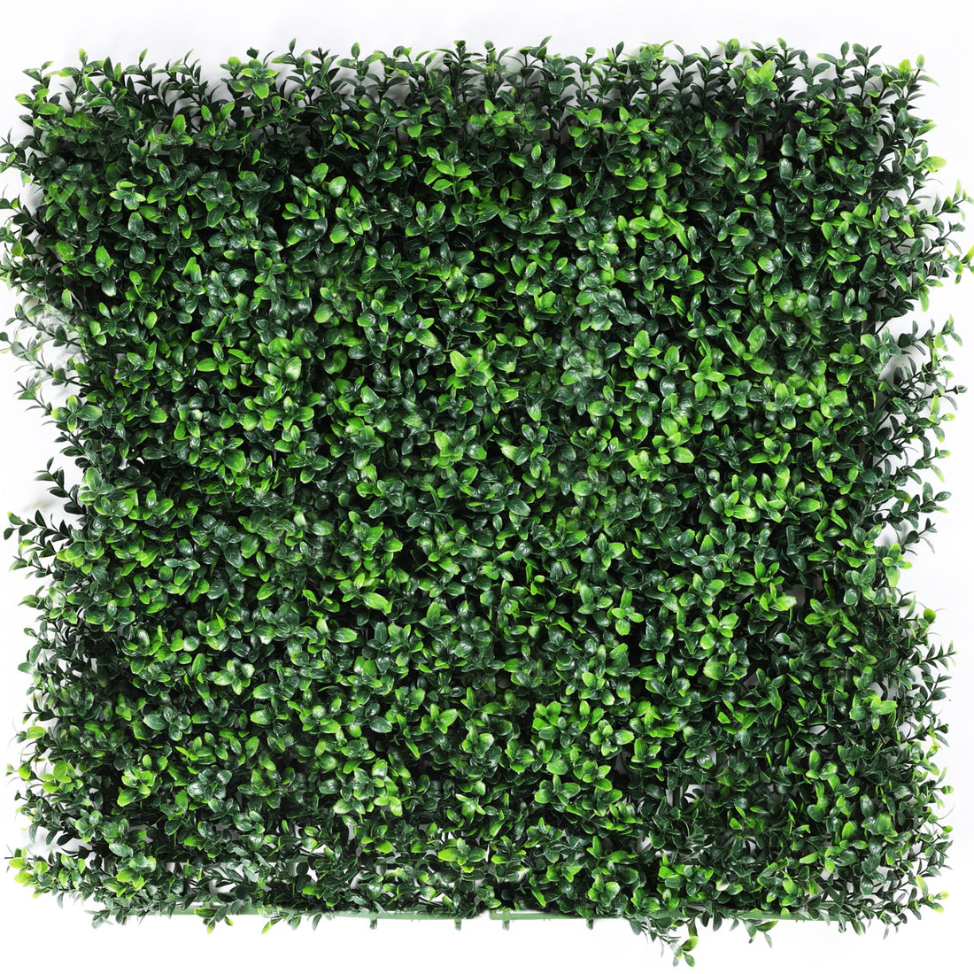 Myrtle Leaf - Artificial Hedge Panel for Green Walls -40&quot;x40&quot; (10.76 sqft) - Green Warehouse