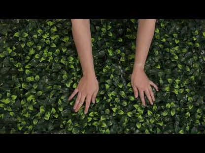 Gardenia Leaf - Artificial Hedge Panel for Green Walls - 40"x40" (10.76 sqft)